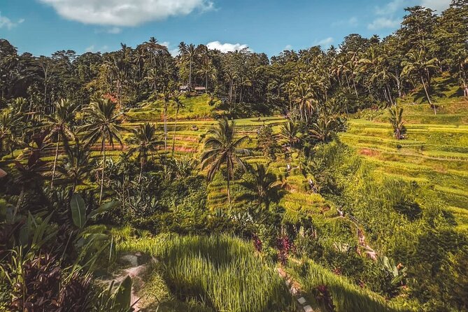 Best Bali Day Tour - Directions