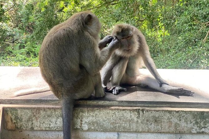Best Bali Day Tour - Frequently Asked Questions