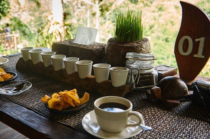 Best Bali Hidden Gems Waterfall with Less Tourist All Inlclusive - Discovering Bali’s Hidden Waterfalls