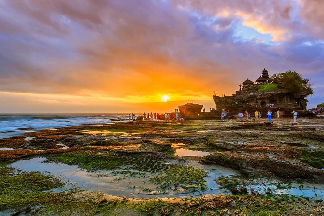 Best Bali Private Tour Packages 5 Days and 4 Night - Accommodation and Meals
