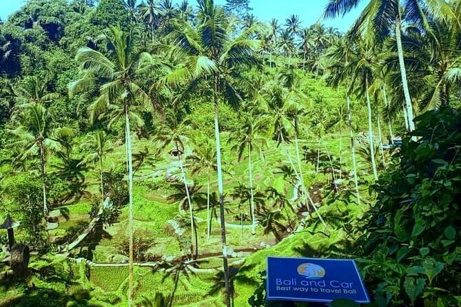 Best bali transport service - custom your own itinerary - FAQ