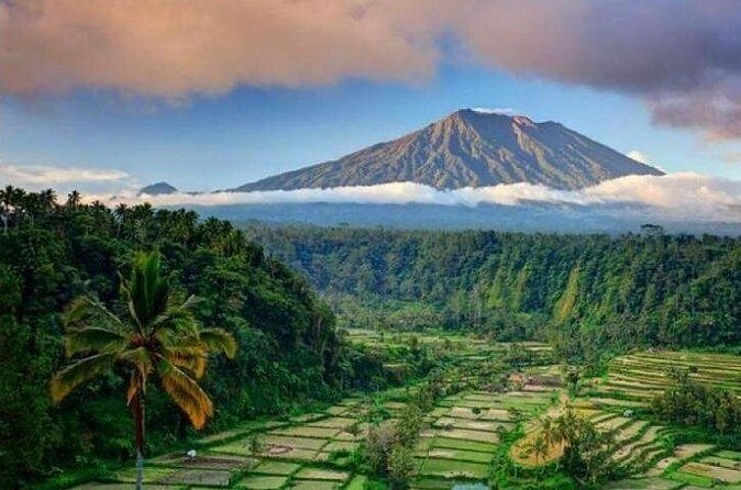 Best bali transport service - custom your own itinerary - Who Should Book This Tour?