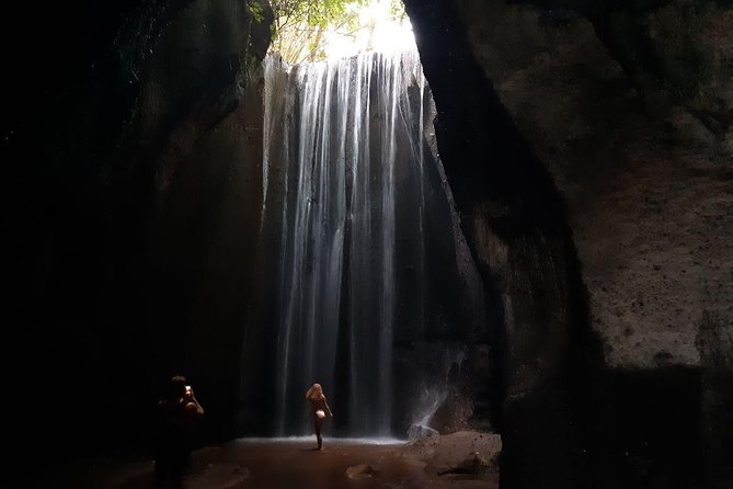 Best Bali Waterfall Private Tour - Tour Highlights