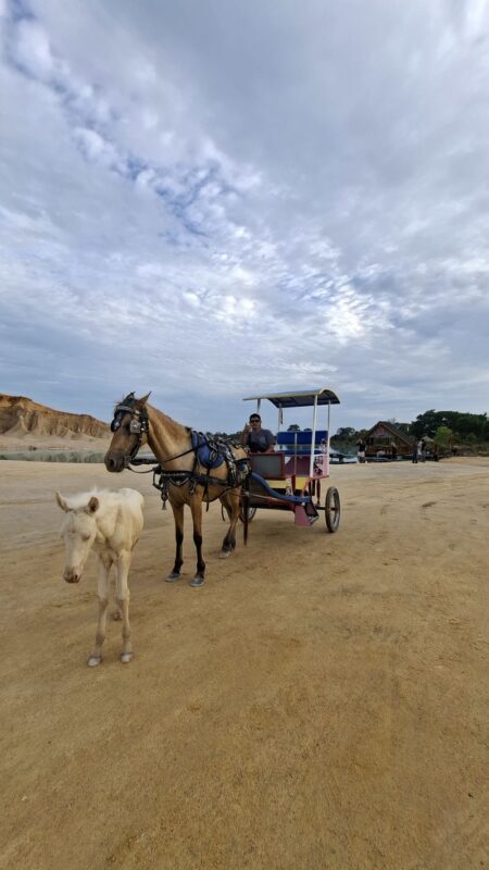 Best Bintan Trip All Inclusive || Private Day Tour Package - A private driver makes Bintan easier to cover