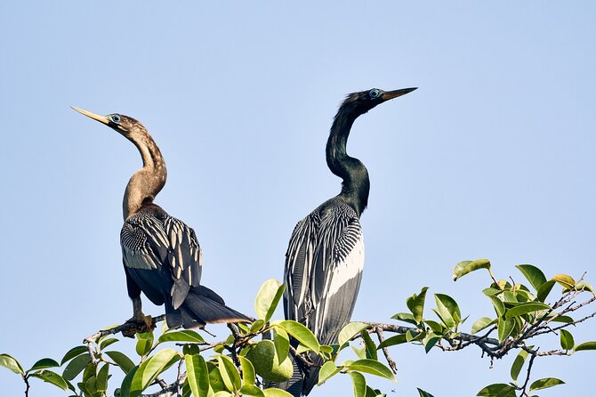 Best Birdwatching Lagoon Tour - Cancellation Policy