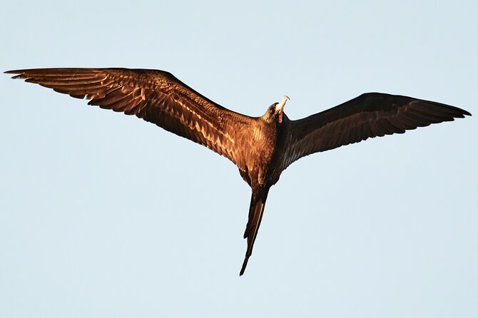 Best Birdwatching Lagoon Tour - Common Questions