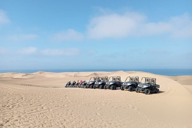 Best Buggies in Agadir Forest and Beach Dunes - Good To Know