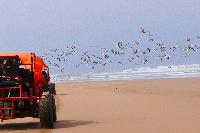 Best Buggies in Agadir Forest and Beach Dunes - Buggy Options