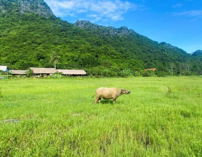 Best Cat Ba Cruise 2D1N: Fishing Village, Kayak, Biking - Day 2 Itinerary
