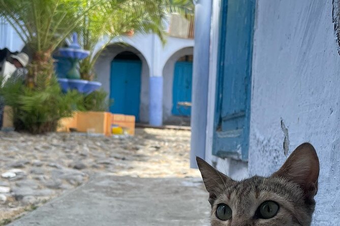 Best Chefchaouen Day Trip From Tangier - Time and End Point