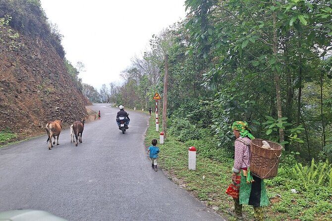 Best Choice Ha Giang Loop Car 5 Days 4 Nights Package Tour - Why Choose This Tour?