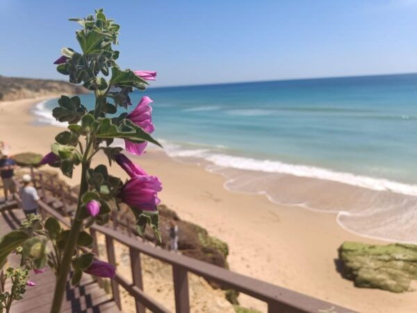 Best Coast Tour - Southwest of Europe - Ponta Da Piedade