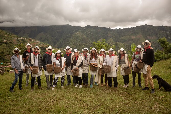 Best Coffee Tour From Medellin With Lunch and Private Transportation - Itinerary Overview