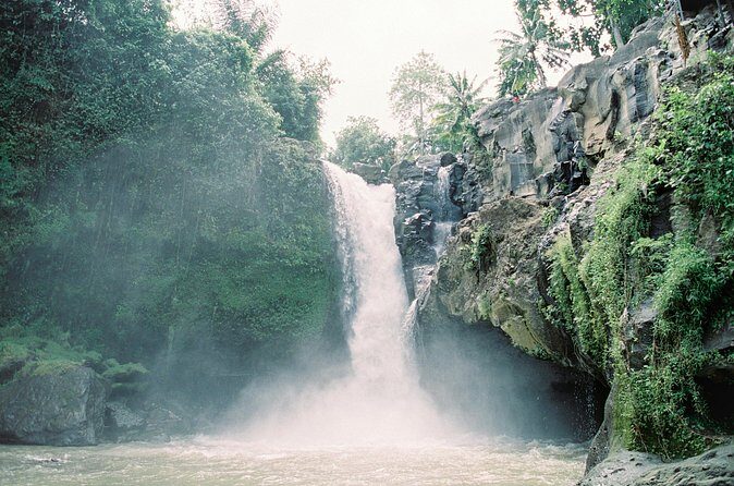 Best Day Tour - #1 Ubud Top Attraction - FAQs