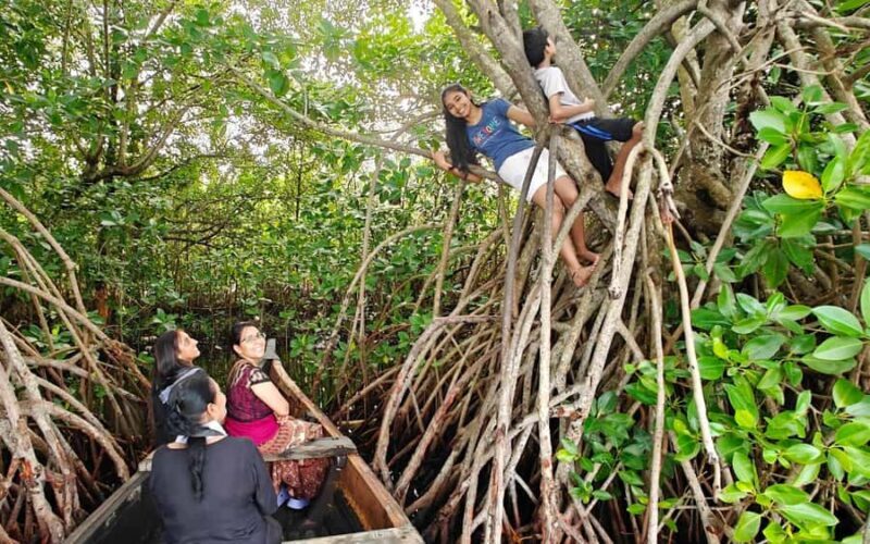 Best Day Tour from Trivandrum to Ashtamudi Lake Backwaters - Good To Know