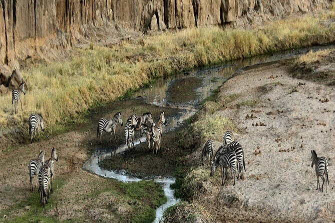 Best Day Trip to Tarangire National Park 2024/2025 - Detailed Directions to Tarangire National Park