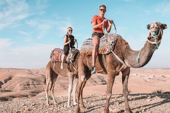 Best, Day Trip to the Atlas Mountains, Camel Ride, Waterfalls, From Marrakech - Reviews