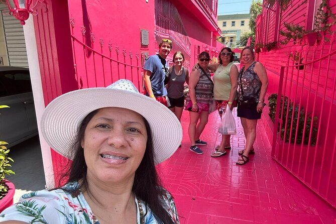 Best Excursion Puerto Plata City Tours - Who Is This Tour Best For?