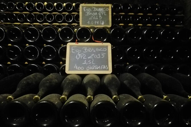 Best Flavors of Bairrada Winery Route, Half Day From Coimbra - Indulge in the Local Delicacy: Roasted Piglet