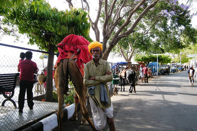 Best Golden Triangle With Royal Rajasthan Private Tour - Accommodations and Transportation