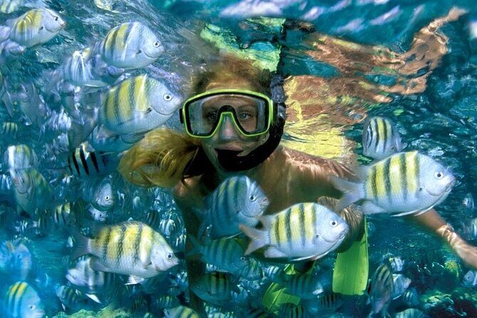 Best half-day snorkel tour: visit Kaan Luum, Yalku & Cenote - Exploring the Itinerary in Detail