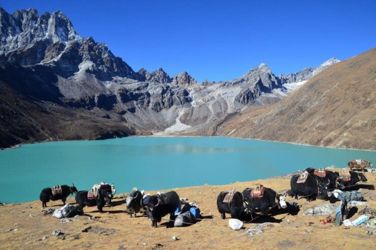 Best Hike to Gokyo Lake Trek - Key Points