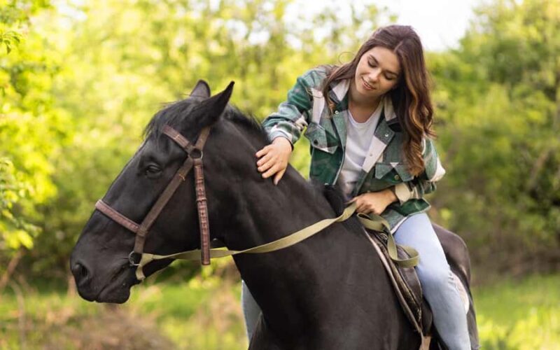 Best Horse Riding Safari Tour from Bangalore - An Inside Look at the Horse Riding Safari Experience