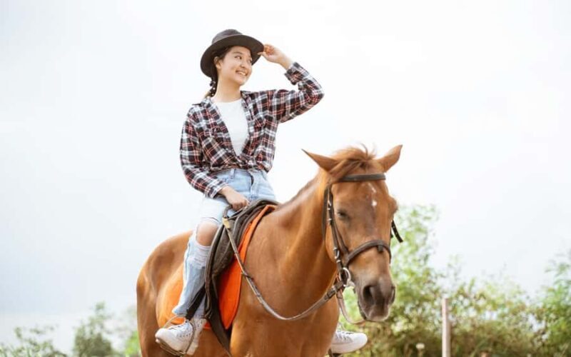 Best Horse Riding Safari Tour from Bangalore - The Real Value of This Tour