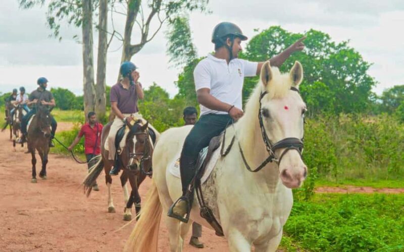 Best Horse Riding Safari Tour from Bangalore - The Sum Up