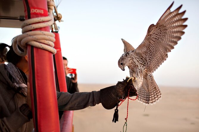 Best Hot Air Balloon Ride, Vintage Land Rover Ride & Breakfast and Falcon Show - Breakfast With Falcon Show