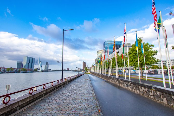 Best Intro Tour of Rotterdam With a Local - Reviews and Ratings