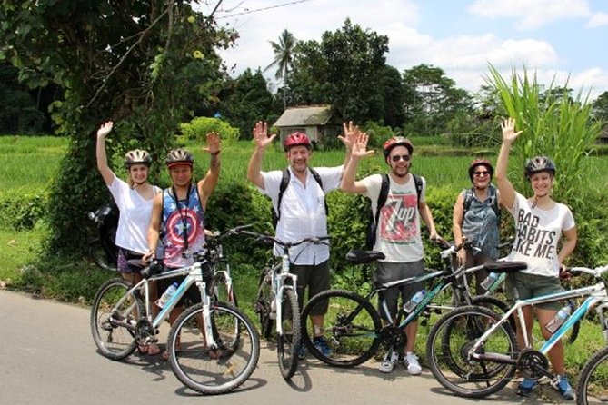 Best Kintamani - Ubud Bali Bicycle Tours - Tour Highlights