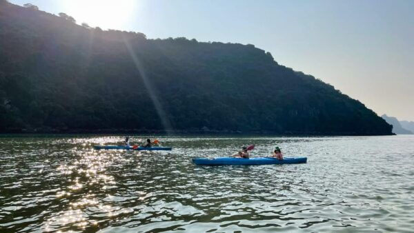 Best Lan Ha Bay Cruise 2d1n: BBQ Dinner and Ancient Village - Tips for Travelers