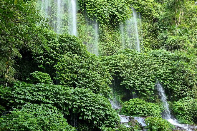 Best Lombok Monkey Forest with Benang Kelambu Waterfall - Good To Know