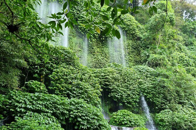 Best Lombok Monkey Forest with Benang Kelambu Waterfall - Final Thoughts: Who Will Love This Tour?