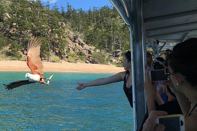 Aquascene Magnetic Island Discovery Tour - Tour Details