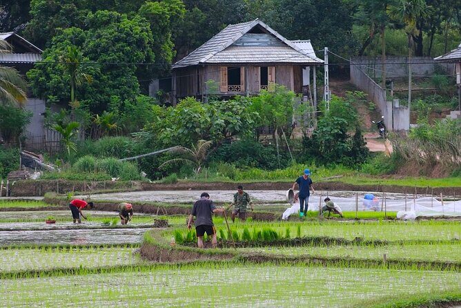 Best Mai Chau Day Trip: Explore Hidden Charms and Village Life - The Thung Khe Pass: Winding Roads with Viewpoints