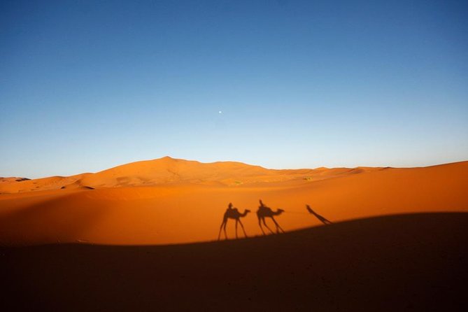 Best Marrakech to Fes Desert Tour 3 Days via Merzouga - Tour Overview and Itinerary