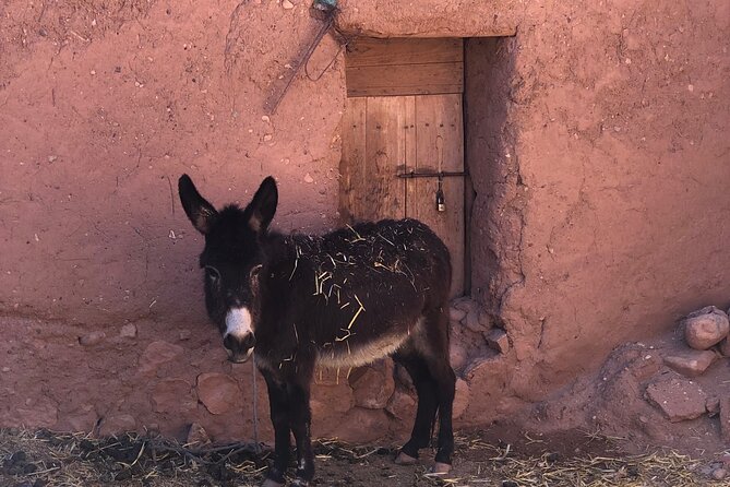 Best Marrakech to Merzouga 3 D 2N Sahara Desert Tour Adventure - Inclusions and Pickup Details