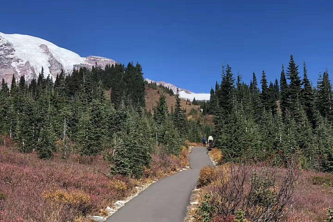 BEST Mount Rainier National Park Day Tour From Seattle - Pricing and Booking Options
