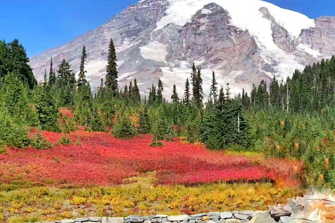 BEST Mount Rainier National Park Day Tour From Seattle - Tour Highlights