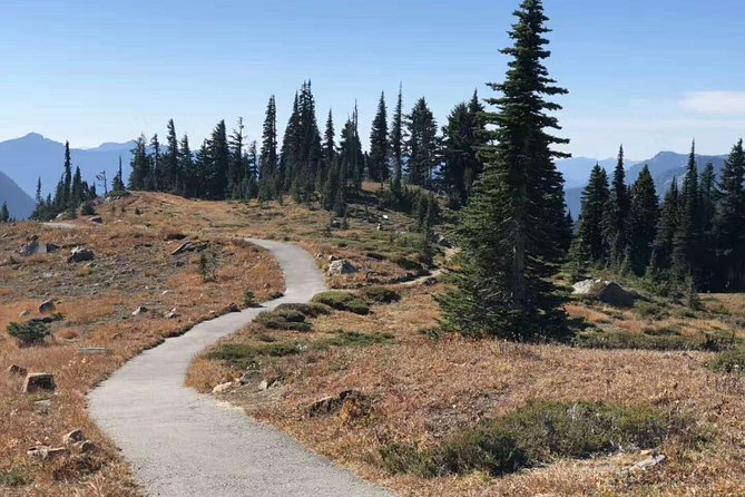BEST Mount Rainier National Park Day Tour From Seattle - Tips for a Memorable Tour