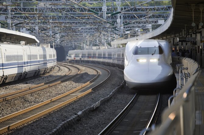 Best Mt Fuji and Hakone Full-Day Bus Tour From Tokyo - Expert Guides and Hassle-Free Transportation