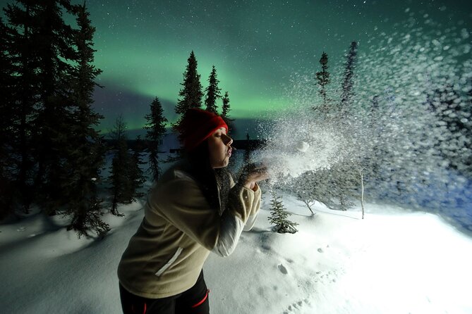 Best Northern Lights Aurora Adventure FREE Portraits & Hot Pizza - Reviews