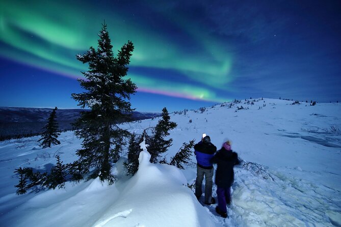 Best Northern Lights Aurora Adventure FREE Portraits & Hot Pizza - The Sum Up
