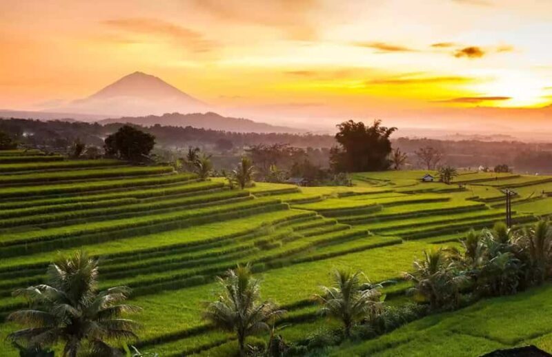 Best Northern Side Of Bali Privat Day Tour - What Sets This Tour Apart?