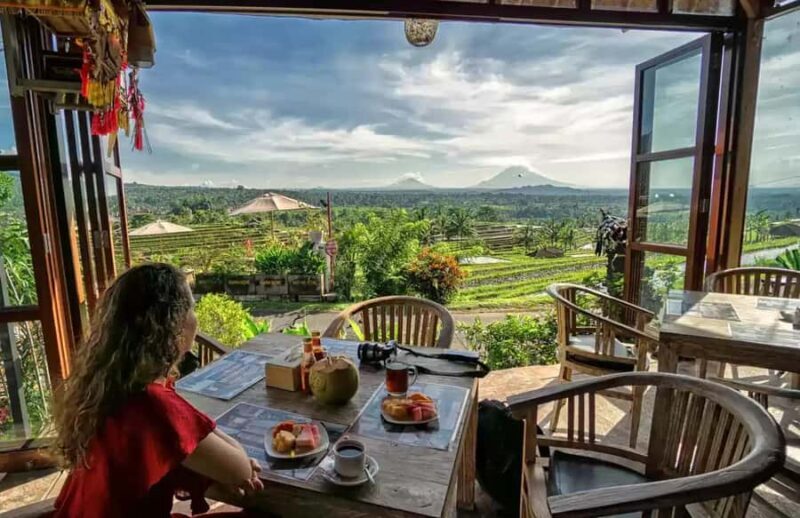 Best Northern Side Of Bali Privat Day Tour - Exploring Bali’s Northern Gems: A Detailed Look