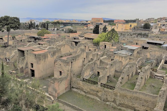 Best of Amalfi Coast & Herculaneum Ruins Skip the Line Tour With Luxury Minivan - Pricing Details and Options