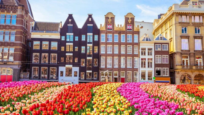 Best of Amsterdam: Private Walking Tour with a Local - Good To Know