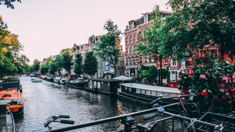 Best of Amsterdam: Private Walking Tour with a Local - Is This Tour Worth It?